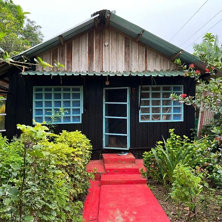Flor De La Selva Apartment Puerto Nariño Exterior foto
